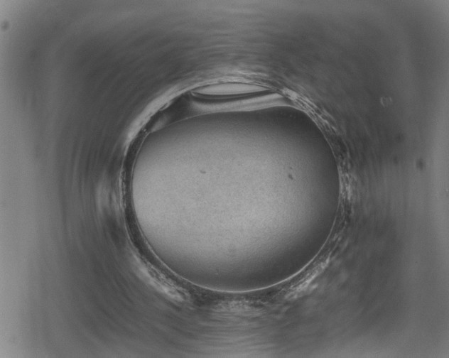 X0000078860244200611131210