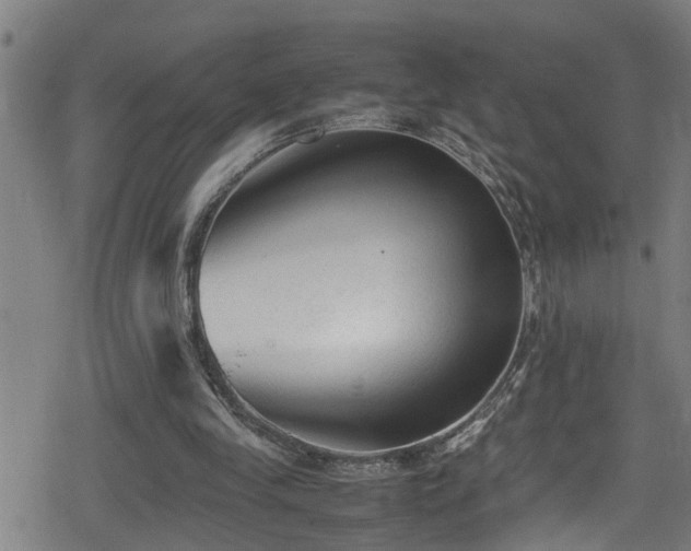 X0000078860245200611131210