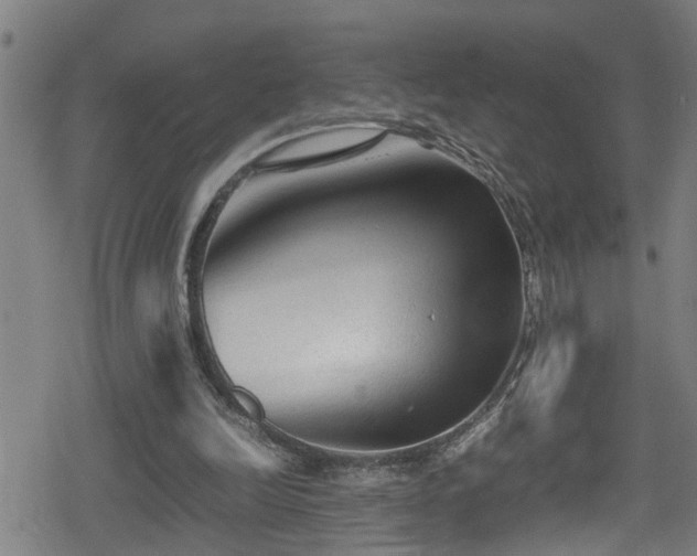 X0000078860246200611131210