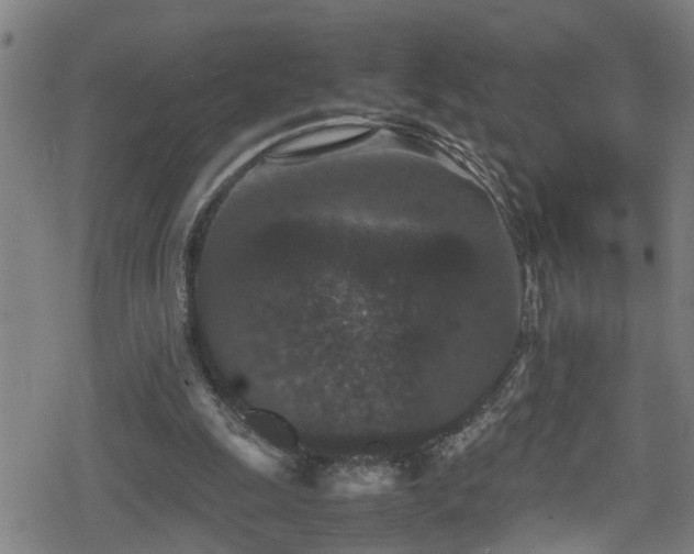 X0000078860247200611131210