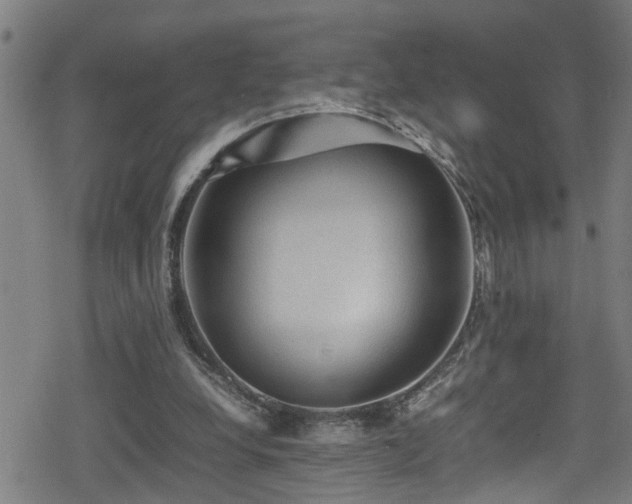 X0000078860248200611131210