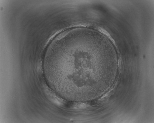 X0000078860249200611131210