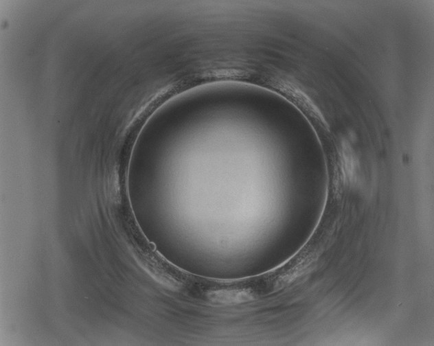 X0000078860251200611131210