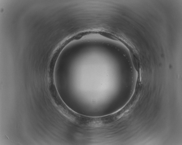 X0000078860252200611131210