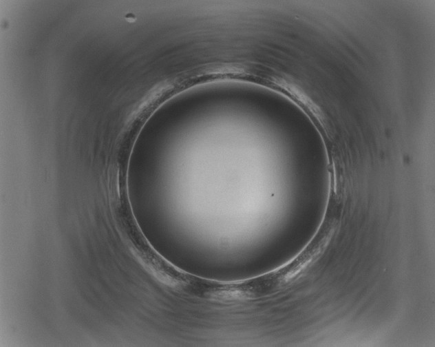 X0000078860253200611131210