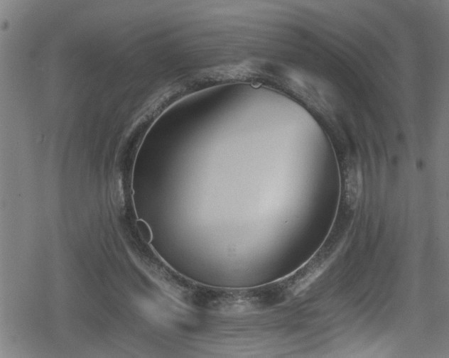 X0000078860254200611131210