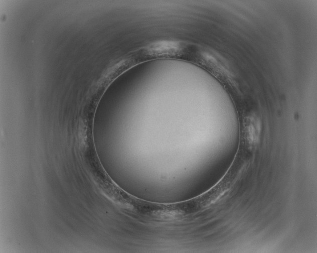 X0000078860255200611131210