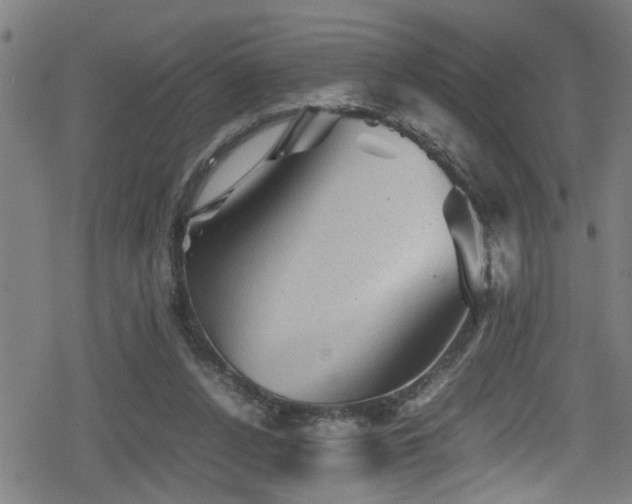 X0000078860256200611131210