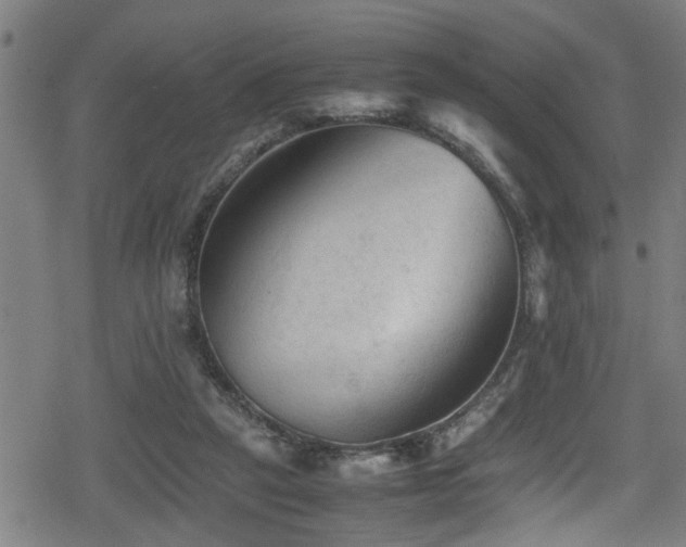 X0000078860257200611131210