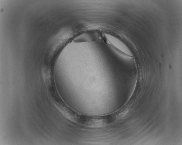 X0000078860260200611131210