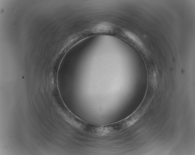 X0000078860261200611131210