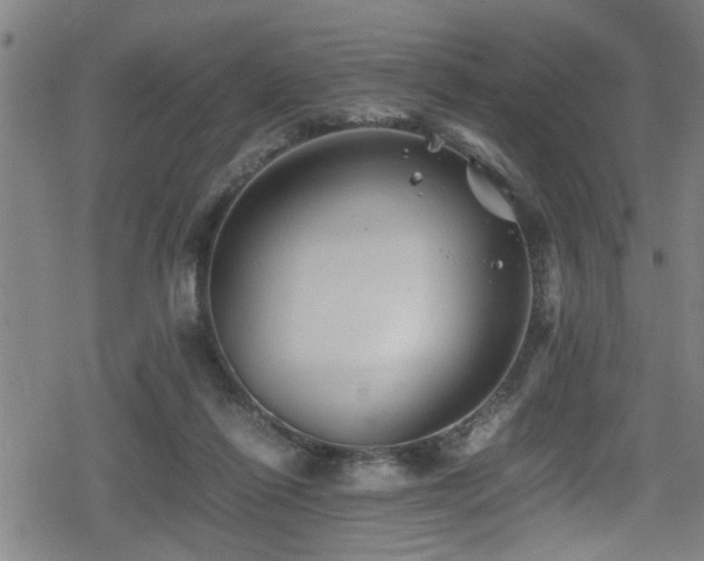 X0000078860262200611131210