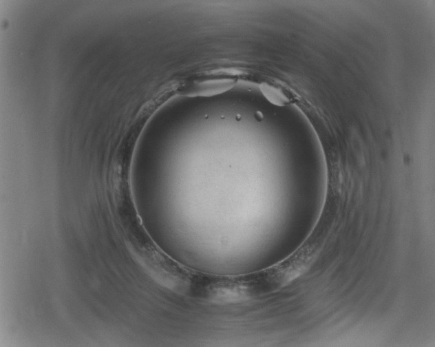 X0000078860263200611131210