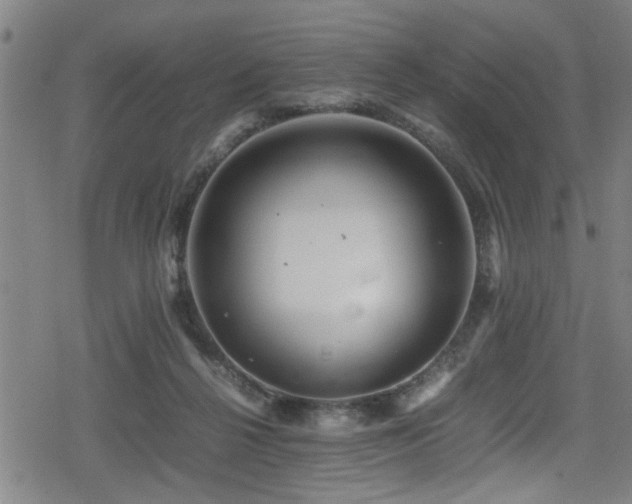 X0000078860264200611131210