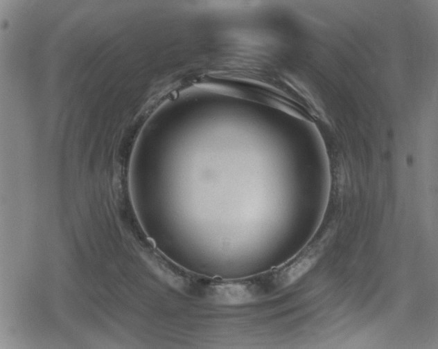 X0000078860265200611131210