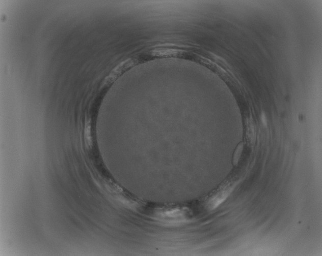 X0000078860267200611131210