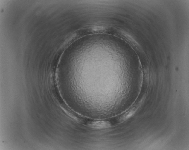 X0000078860269200611131210