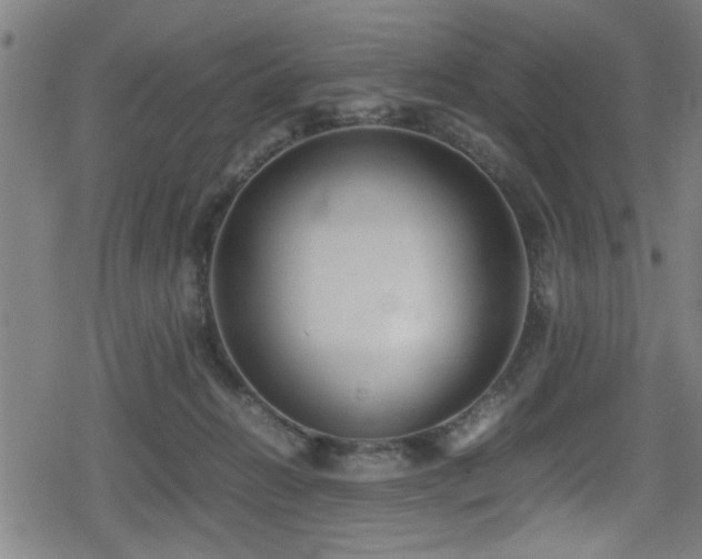 X0000078860270200611131210