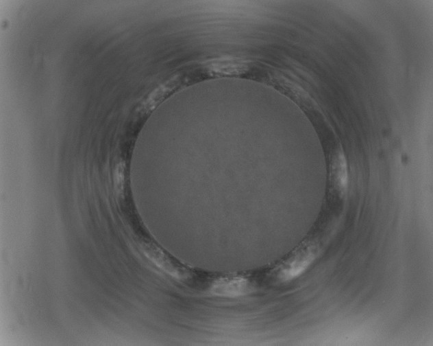 X0000078860271200611131210