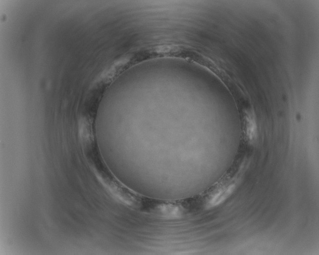 X0000078860272200611131210