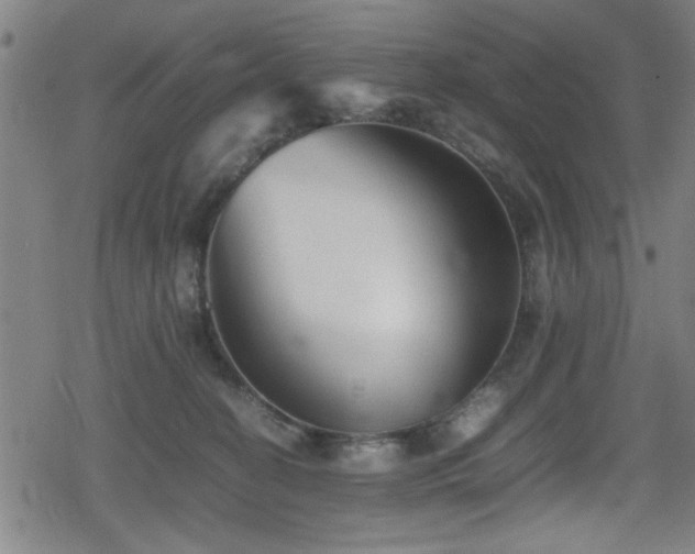 X0000078860274200611131210