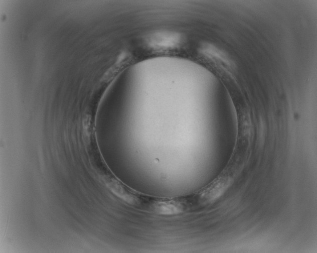 X0000078860275200611131210