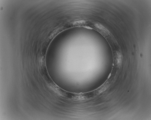 X0000078860276200611131210