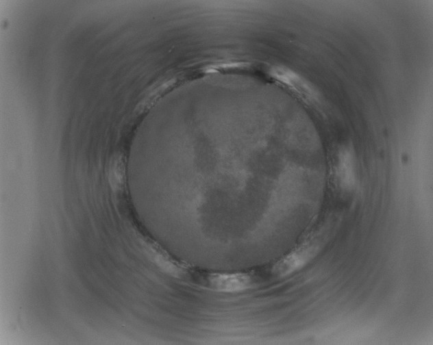 X0000078860277200611131210