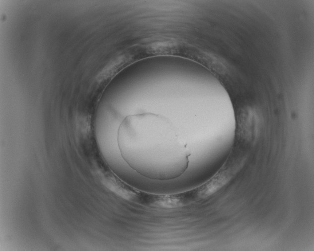 X0000078860278200611131210