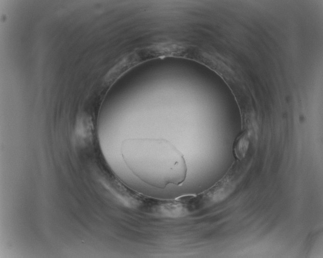 X0000078860279200611131210