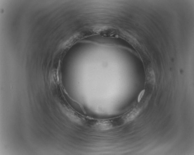 X0000078860280200611131210