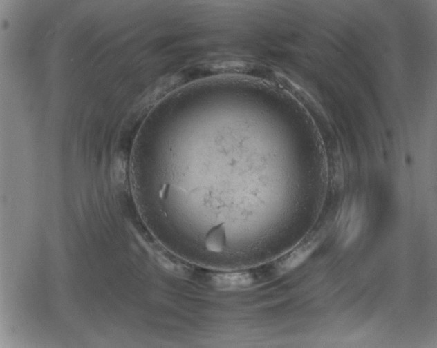 X0000078860281200611131210