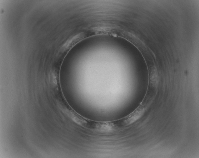 X0000078860282200611131210