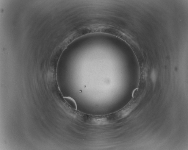 X0000078860283200611131211