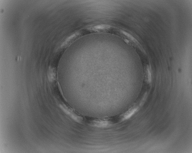 X0000078860284200611131211