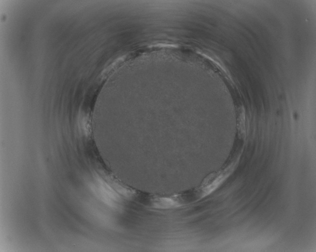 X0000078860285200611131211