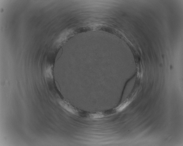 X0000078860286200611131211