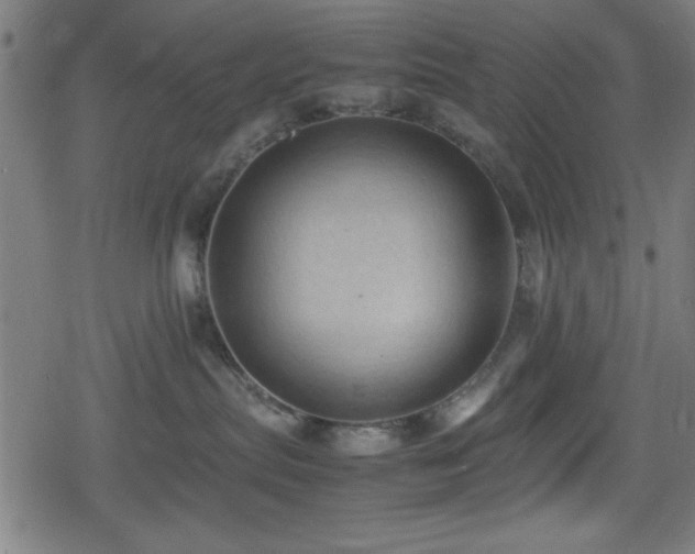 X0000078860287200611131211