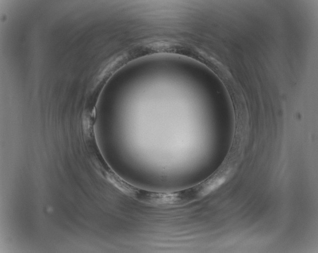 X0000078860288200611131211