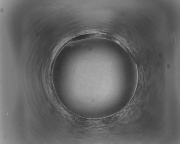 X0000078860289200611131210