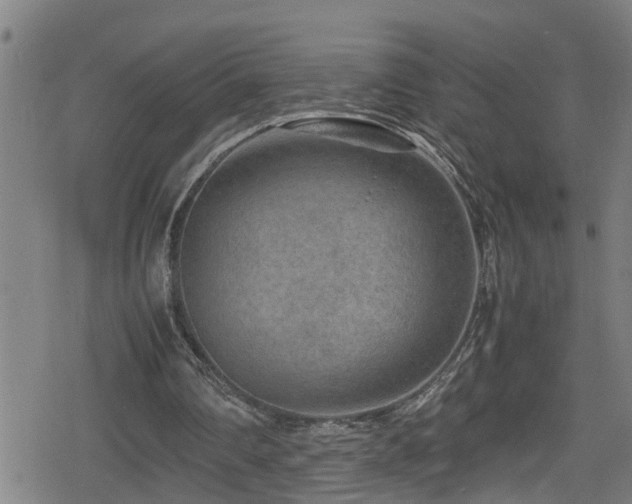 X0000078860290200611131210