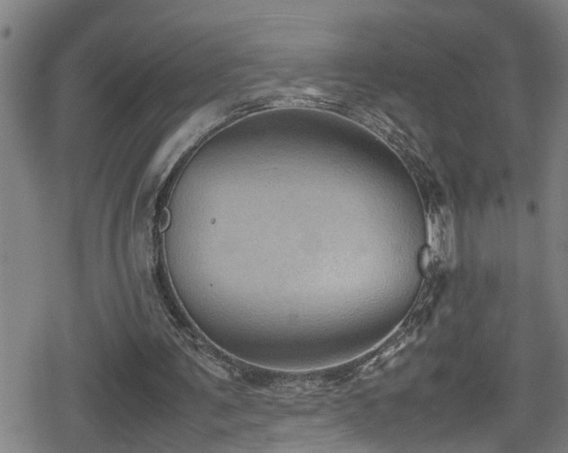 X0000078860291200611131210