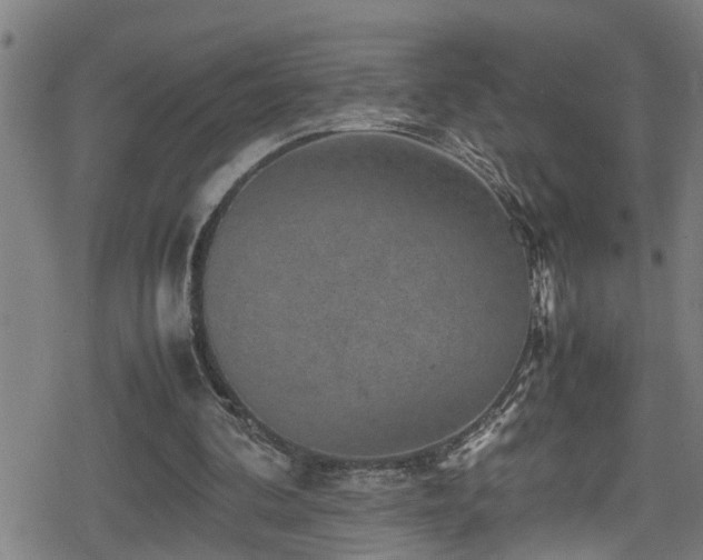 X0000078860292200611131210