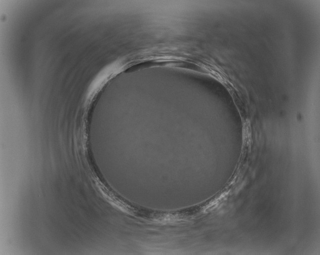 X0000078860293200611131210