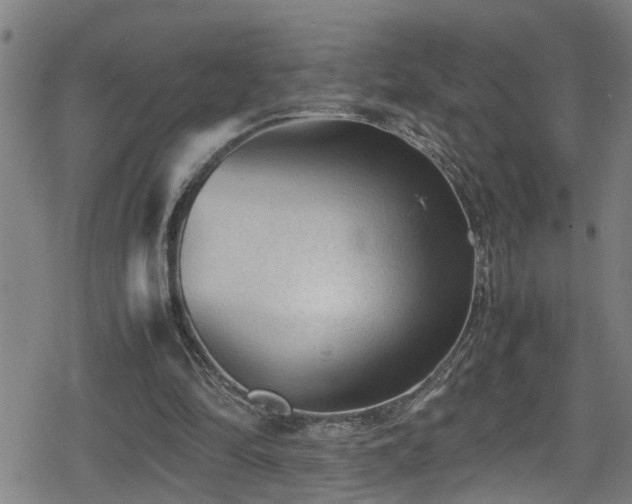 X0000078860294200611131210