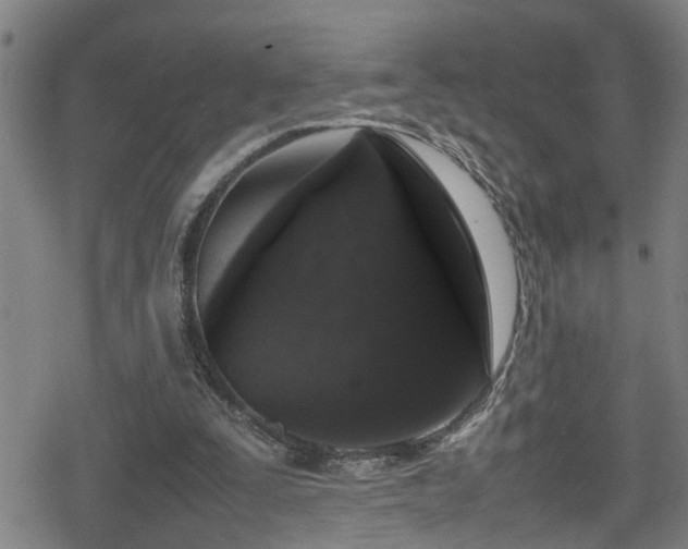 X0000078860295200611131210