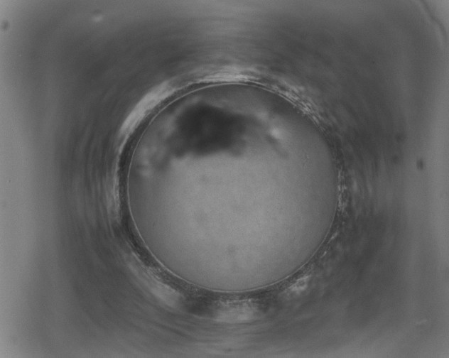 X0000078860296200611131210