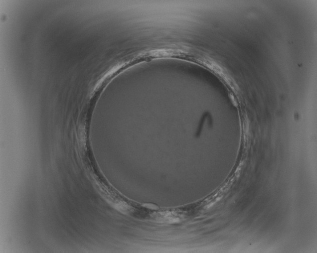 X0000078860297200611131210