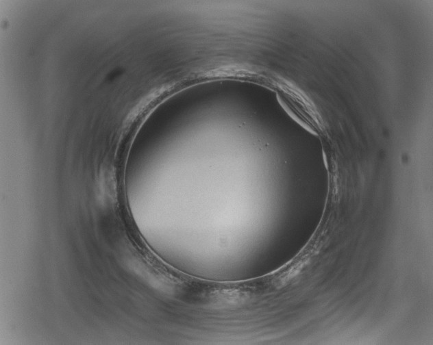 X0000078860298200611131210