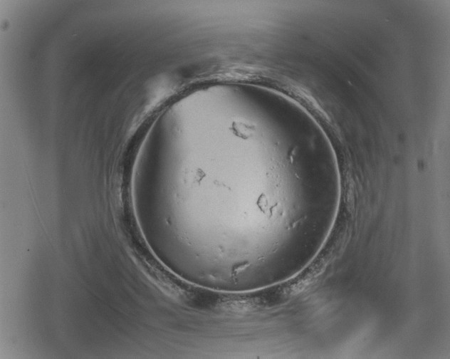 X0000078860299200611131210